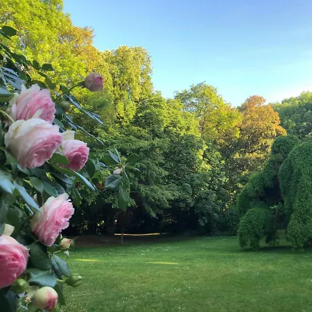 Le Chateau D'hermonville / D'hotes Bed & Breakfast Hermonville