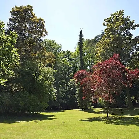 Bed and Breakfast Le Chateau D'hermonville / D'hotes 4*