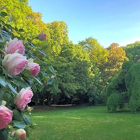 Le Chateau D'hermonville / D'hotes Bed and Breakfast Hermonville