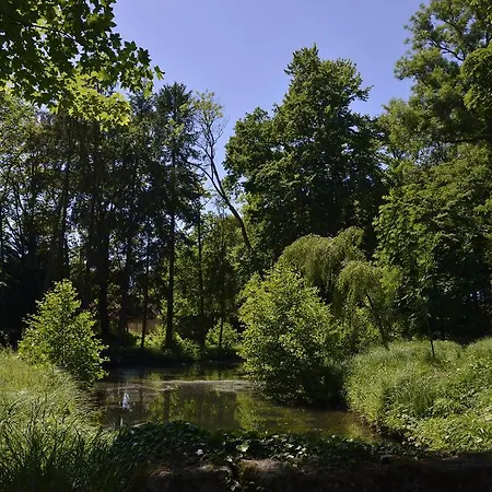 Bed & Breakfast Le Chateau D'hermonville / D'hotes 4*