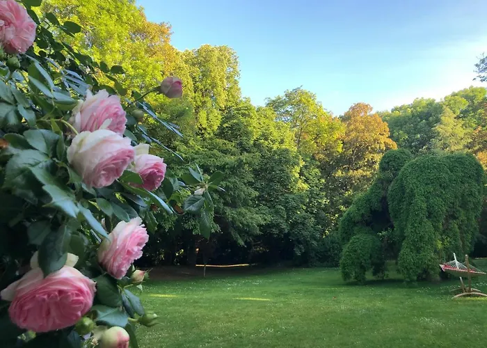 Le Chateau D'hermonville / D'hotes Bed and Breakfast Hermonville