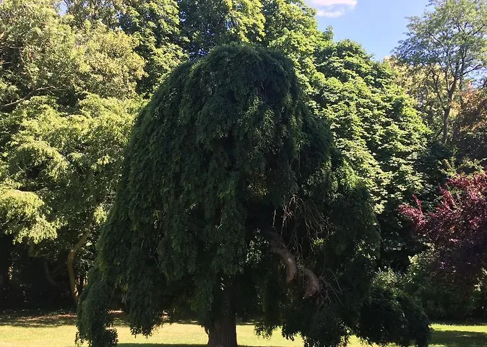 Couette-café Le Château D'hermonville / D'hôtes