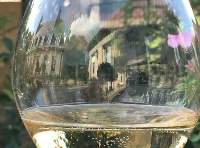 Le Château D'hermonville / D'hôtes Couette-café